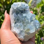 Drusa de Celestite