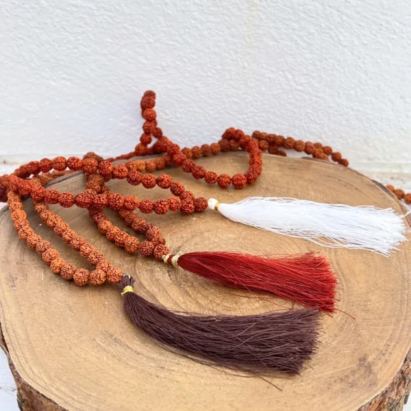 Japamala Rudraksha 8mm em sementes naturais dos Himalaias