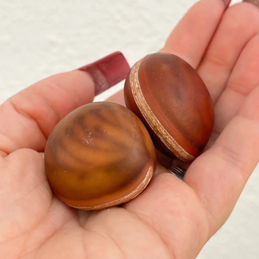 Semente olho de boi natural para proteção e energia positiva