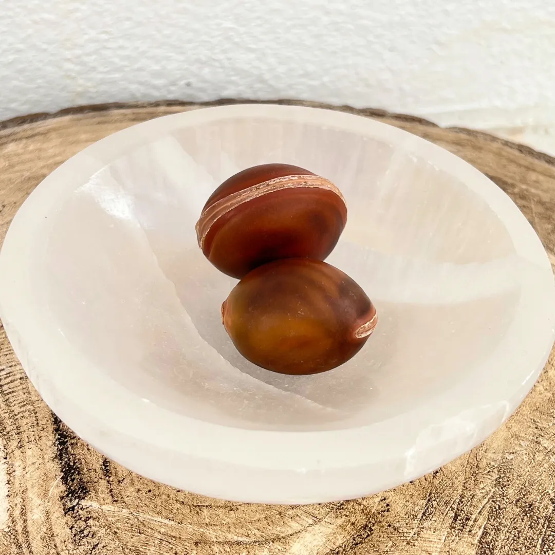 Semente olho de boi decorativa para meditação e energia positiva