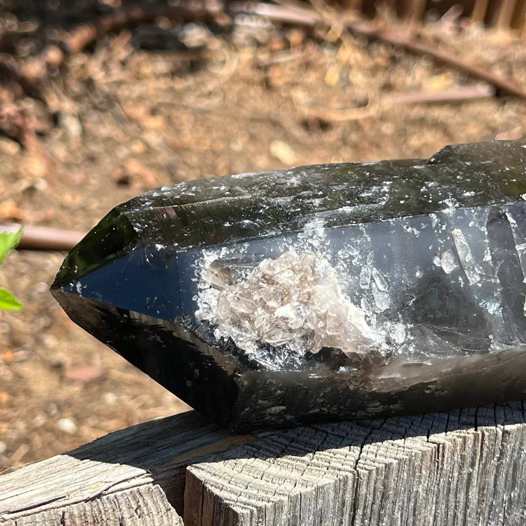 Quartzo Fumado Biterminado, cristal de enraizamento
