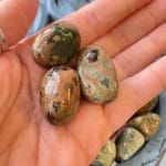 Jaspe Floresta (Riolite) - Polido