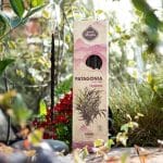 Incenso Patagónia Palmarosa - Sagrada Madre