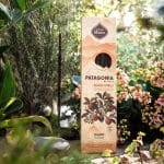 Incenso Patagónia Laranja e Baunilha