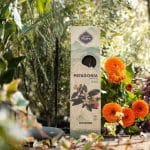 Incenso Patagónia Neroli - Sagrada Madre
