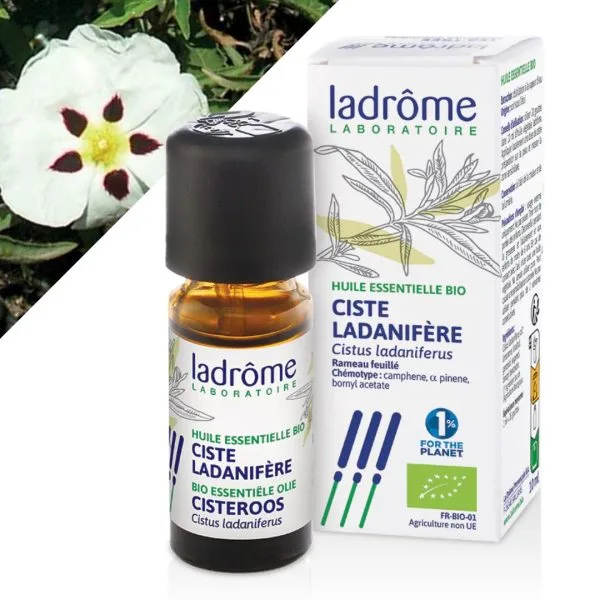 saúde natural óleos essenciais
