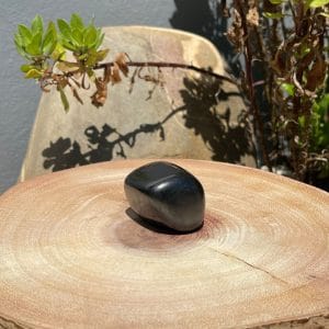 Shungite – A Pedra da Vida