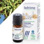 Óleo Essencial Incenso Bio Ladrôme (5ml)
