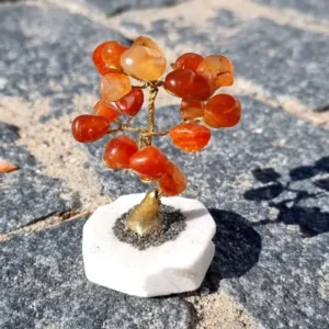 bonsai de cristal