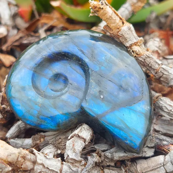 Labradorite Formato Amonite - uma peça profundamente espiritual