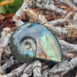 Labradorite Formato Amonite - 5 a 6 cm