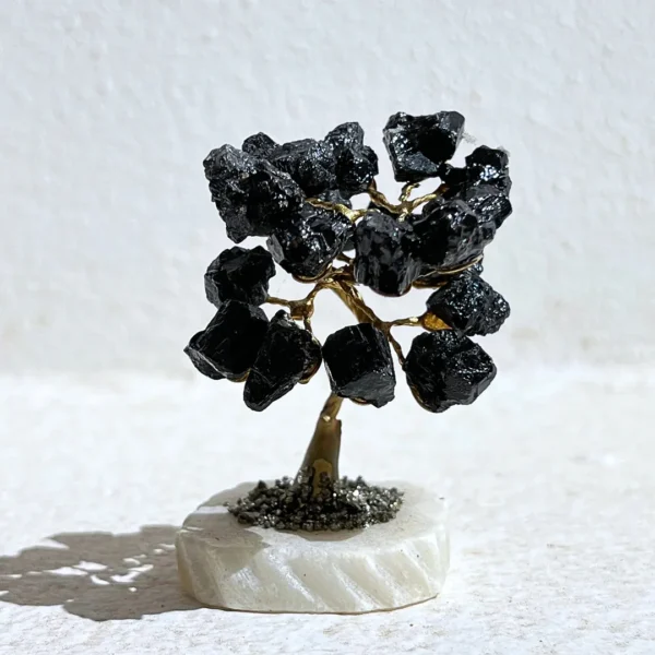 Compre Árvore Turmalina Negra na Sol Lua Milfontes