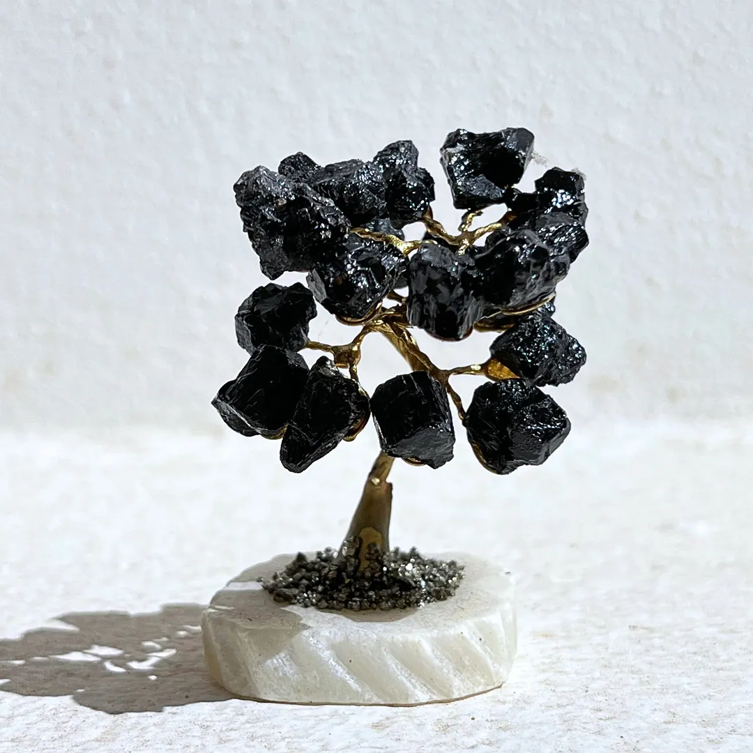 Compre Árvore Turmalina Negra na Sol Lua Milfontes