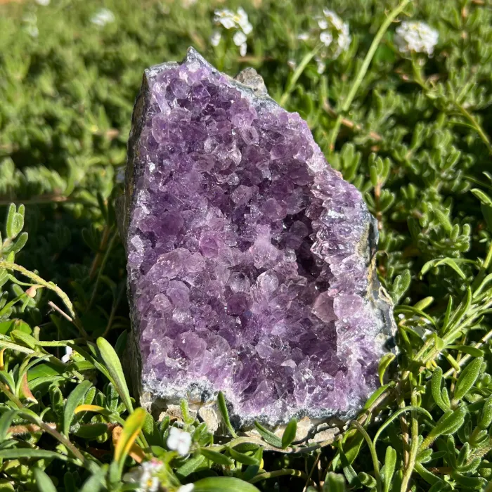 Drusa Ametista de cor violeta está associada ao Raio Violeta.