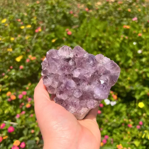 Comprar ametista na Sol Lua Milfontes, autêntica e verdadeira