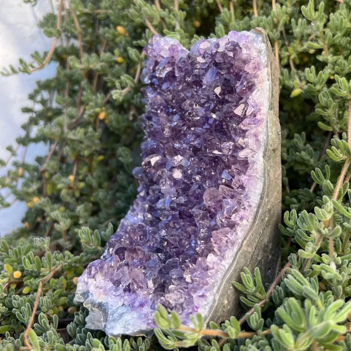 Drusa de Ametista cristal associada ao Raio Violeta, energia de transmutação.