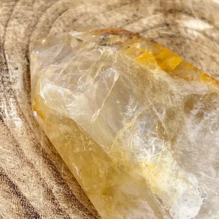 Golden Healer totalmente natural, disponível na Sol Lua Milfontes