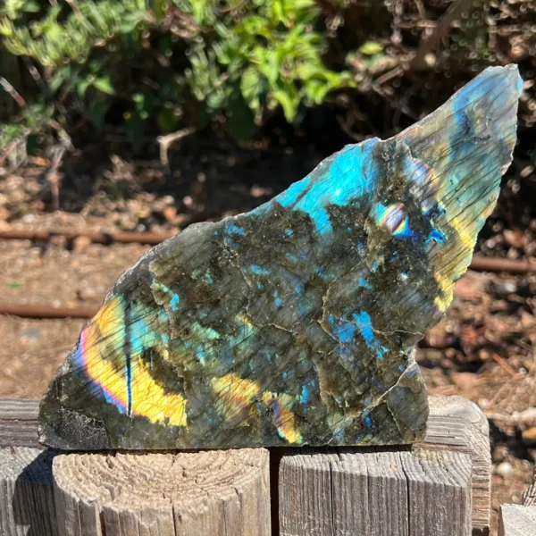 Labradorite Asa Anjo em Vila Nova de Milfontes