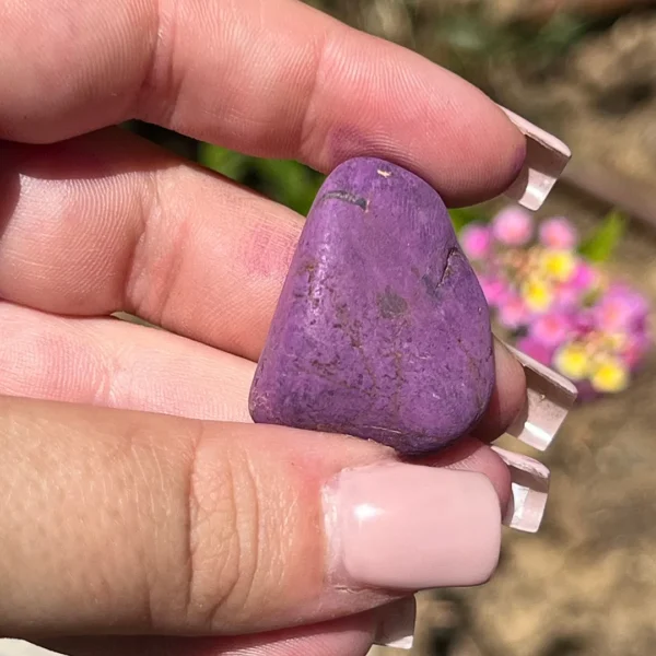 Purpurite Bruto em Vila Nova de Milfontes