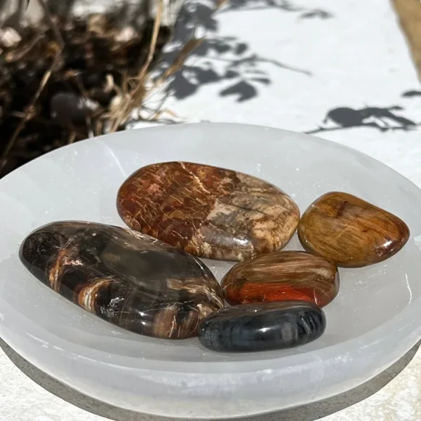 Compre Xilópalo Plano na Sol Lua Milfontes